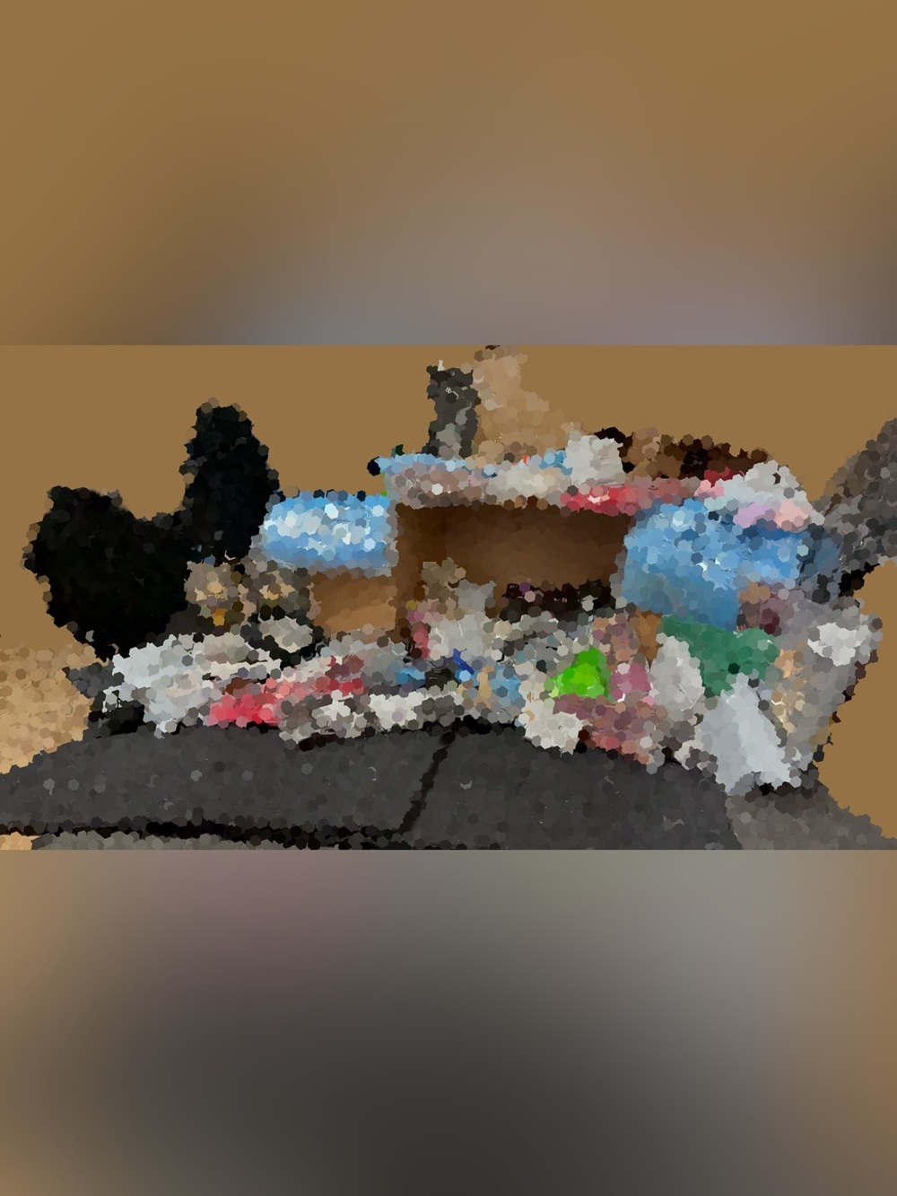 Halloween Costume Mystery Box